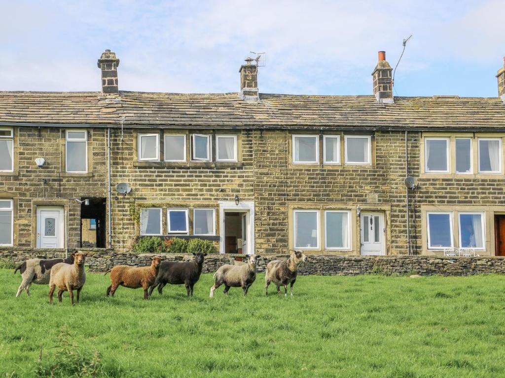 17 Moorside
