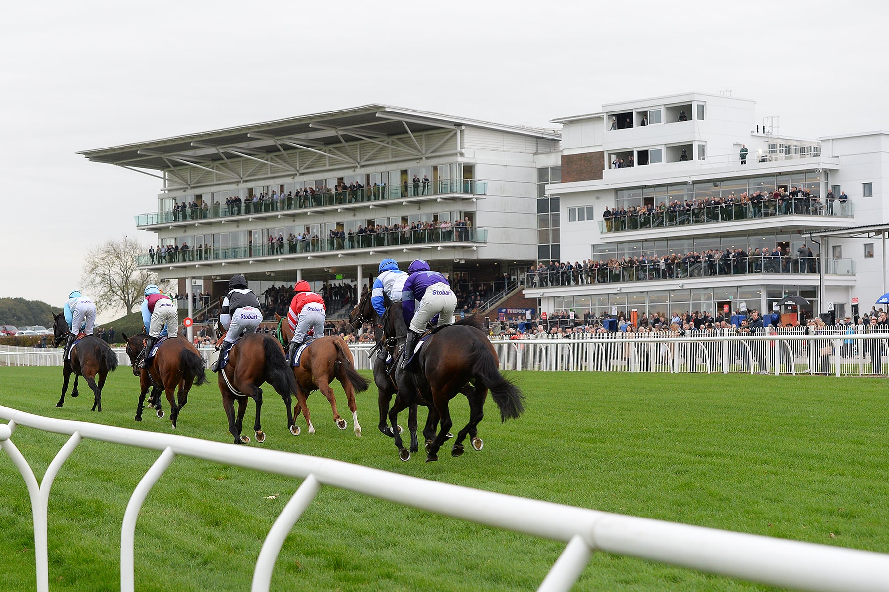Wetherby Jump Racing
