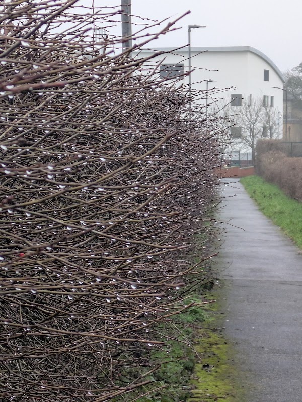Pinderfields General Hospital Car Park