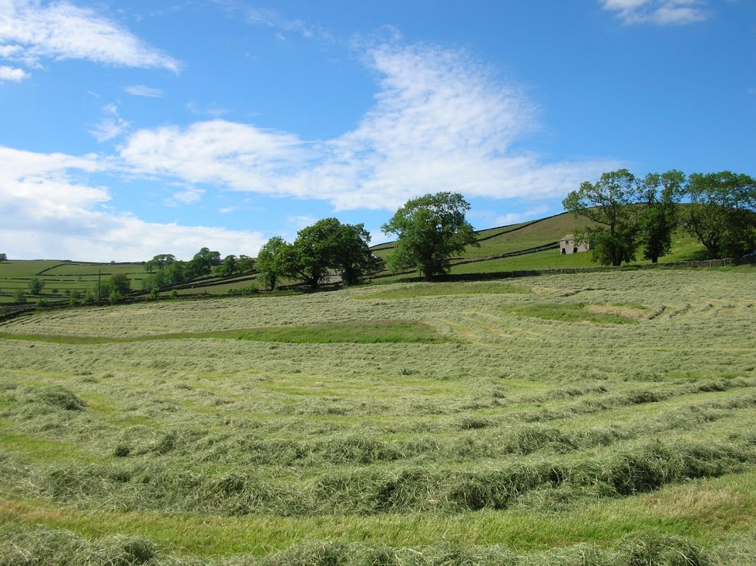 Howarth Farm