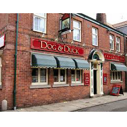 Accommodation at Dog & Duck Inn in beverley