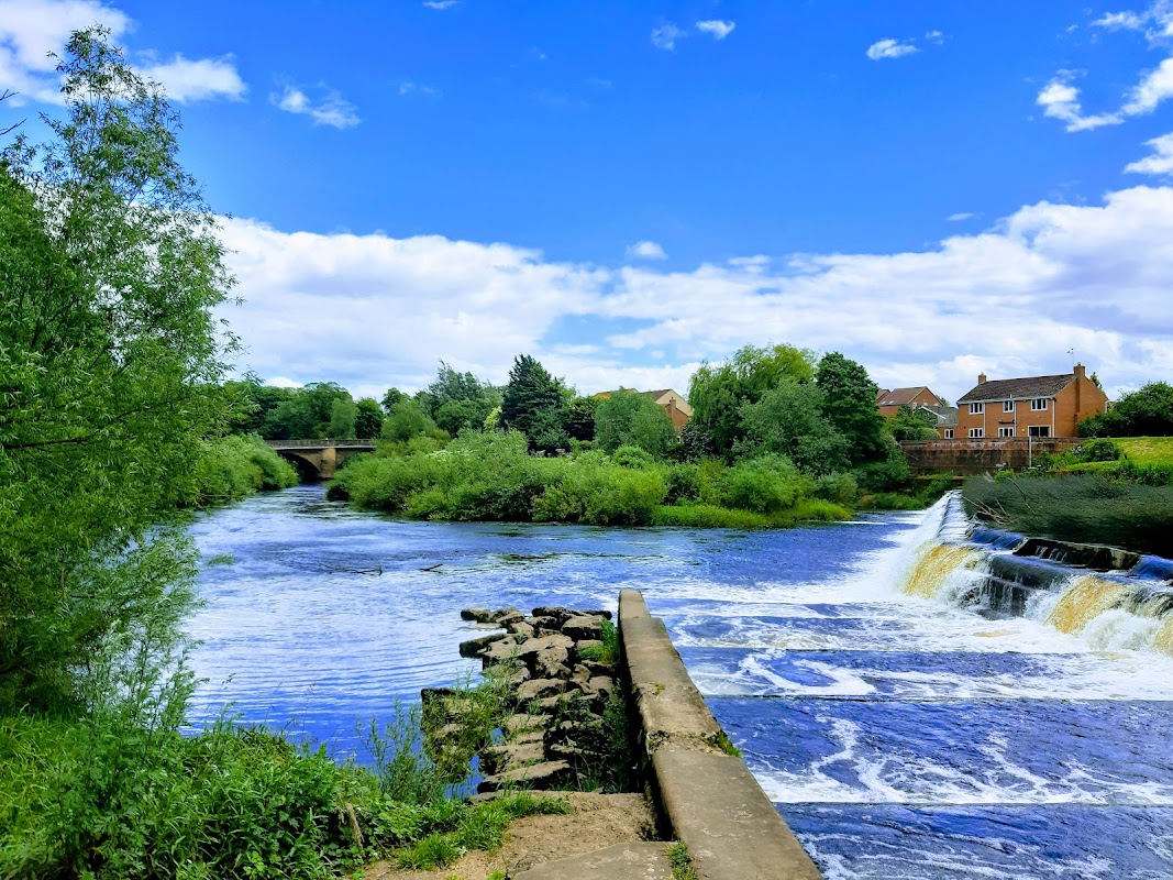 Scenic river view with lush greenery, a waterfall, and houses under a blue sky with fluffy clouds in Boroughbridge.