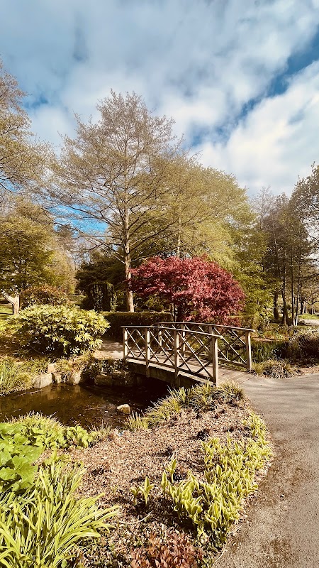 A wooden bridge over a small pond, surrounded by lush greenery and colorful trees under a partly cloudy sky.
