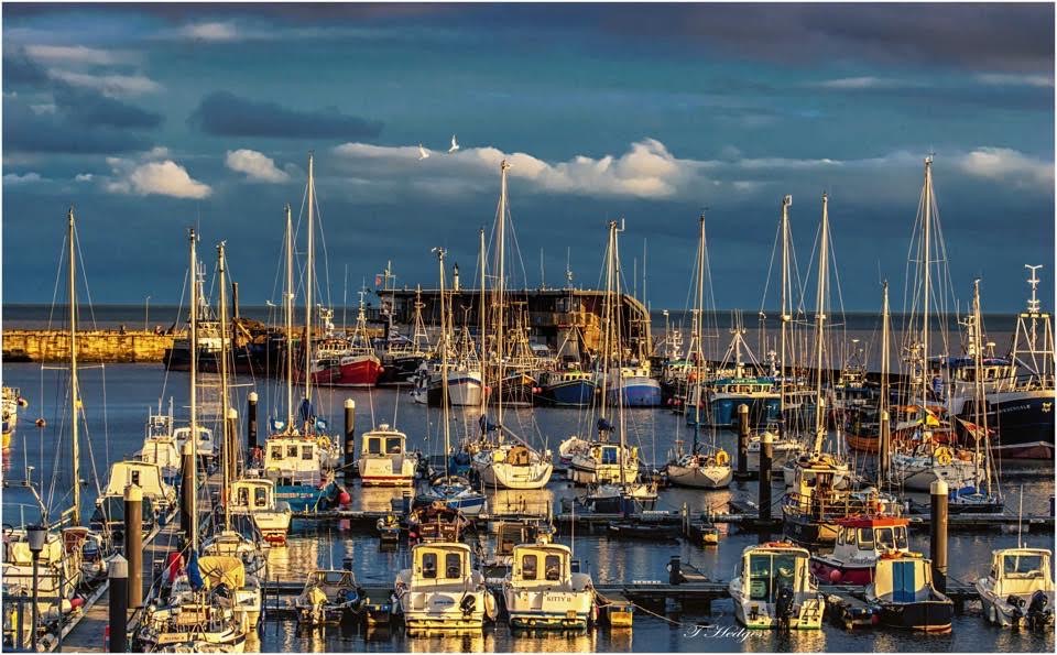 Bridlington Harbour