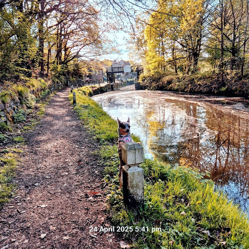 Kirklees Top Lock 14