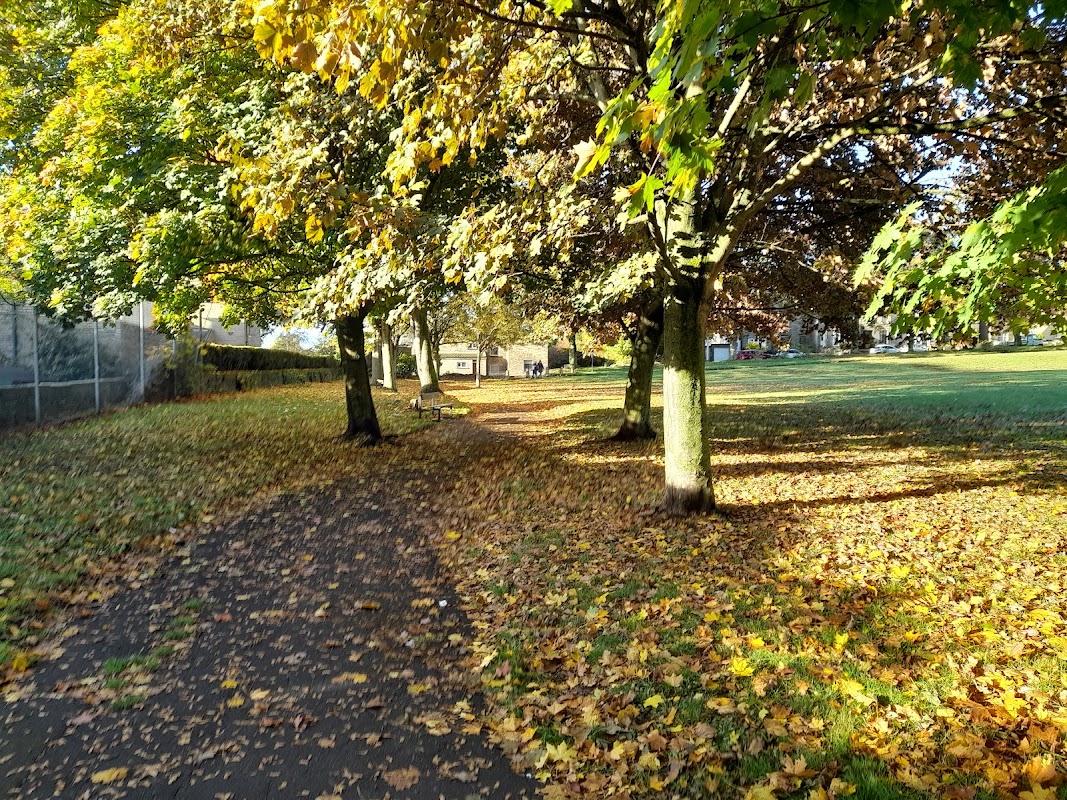 Lane Head Recreation Ground