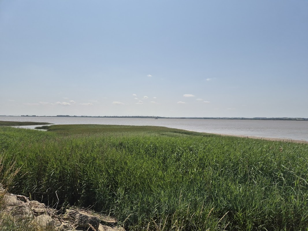 Brough Haven View Point