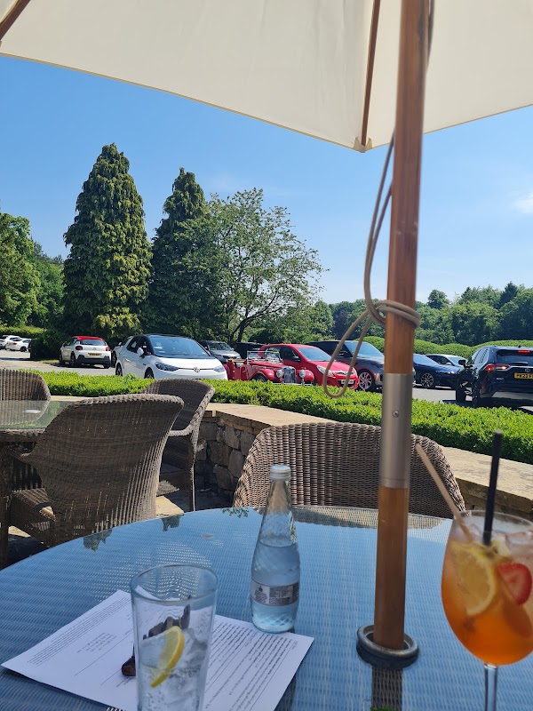 Outdoor seating at a restaurant with a view of parked cars, lush trees, and a sunny blue sky. A drink sits on the table.