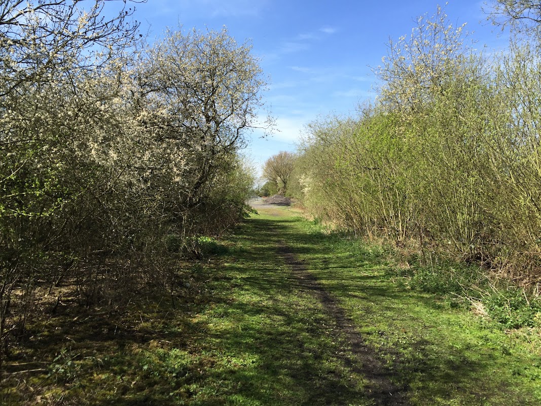 Bubwith Old Railway Path