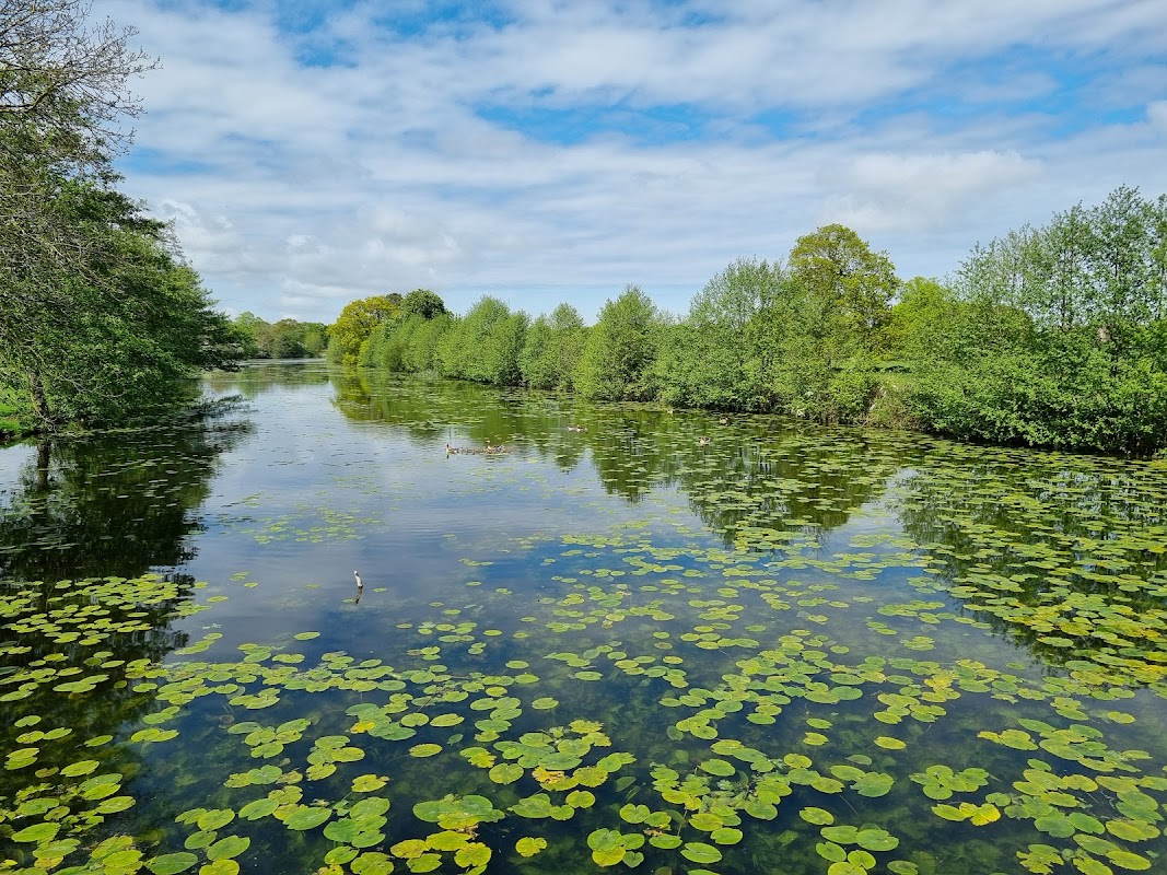 Burton Constable Country Park & Airstrip GB-0729
