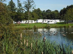 Carlton Miniott Park - Campsite in carlton miniott