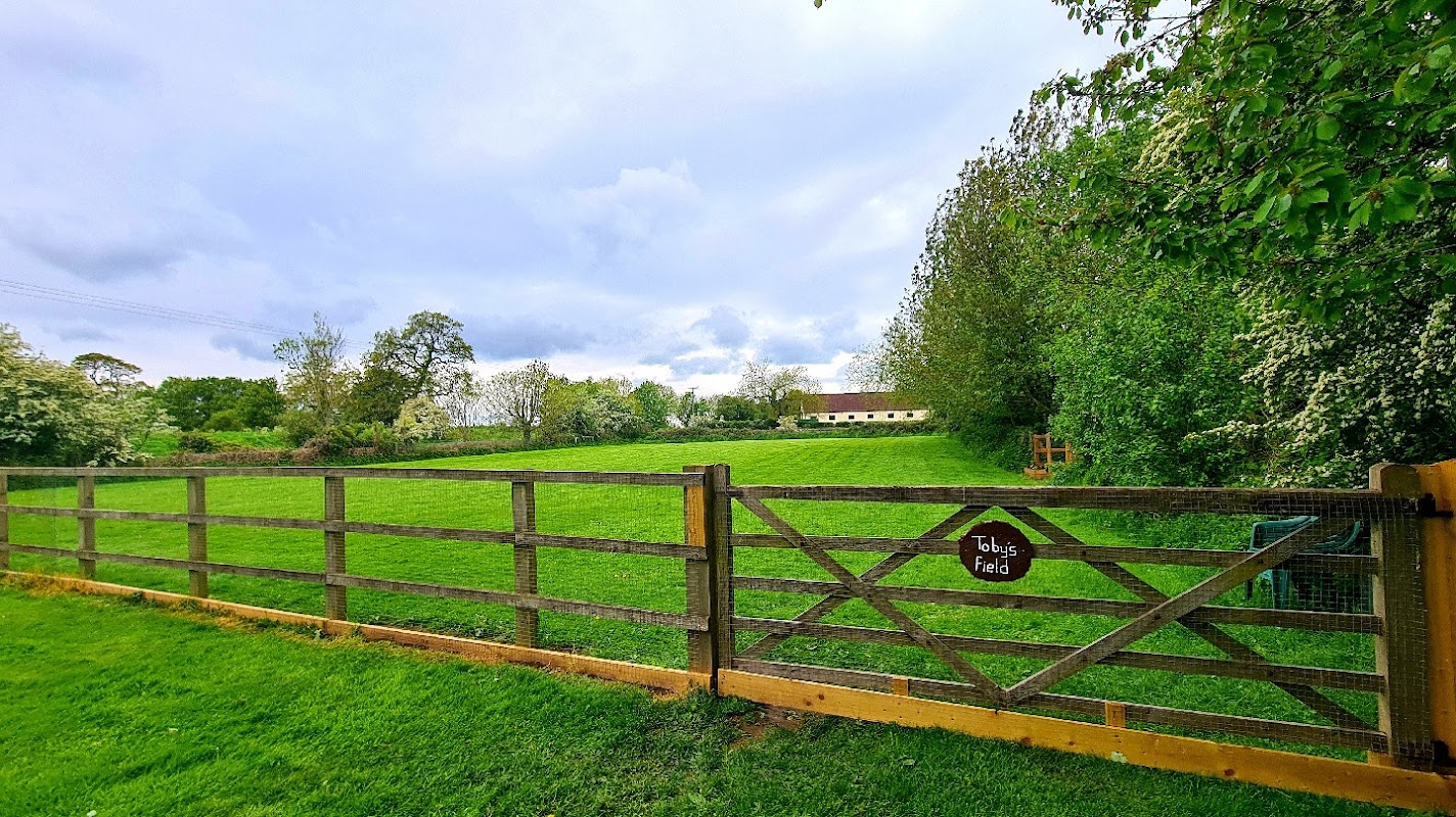 Toby's Field