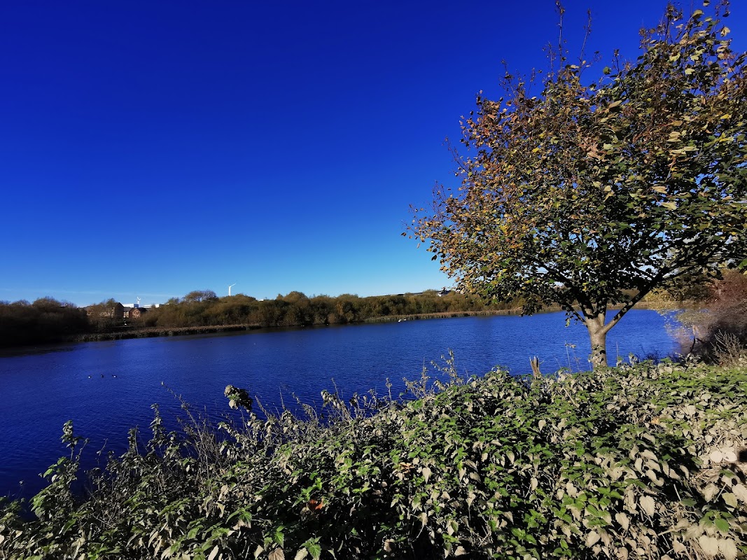 Catcliffe Flash Nature Reserve