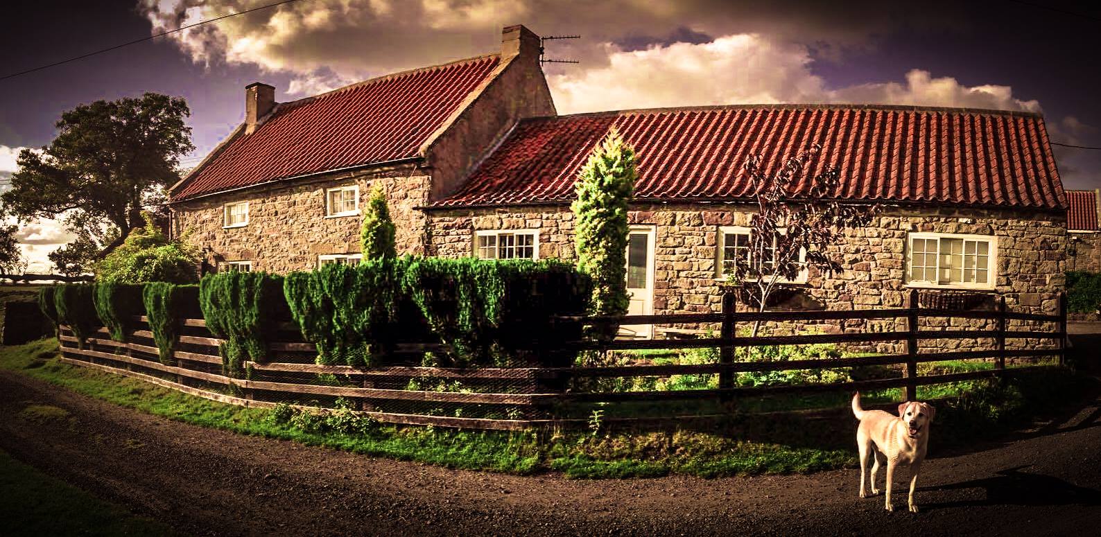 Chequers Bed and Breakfast