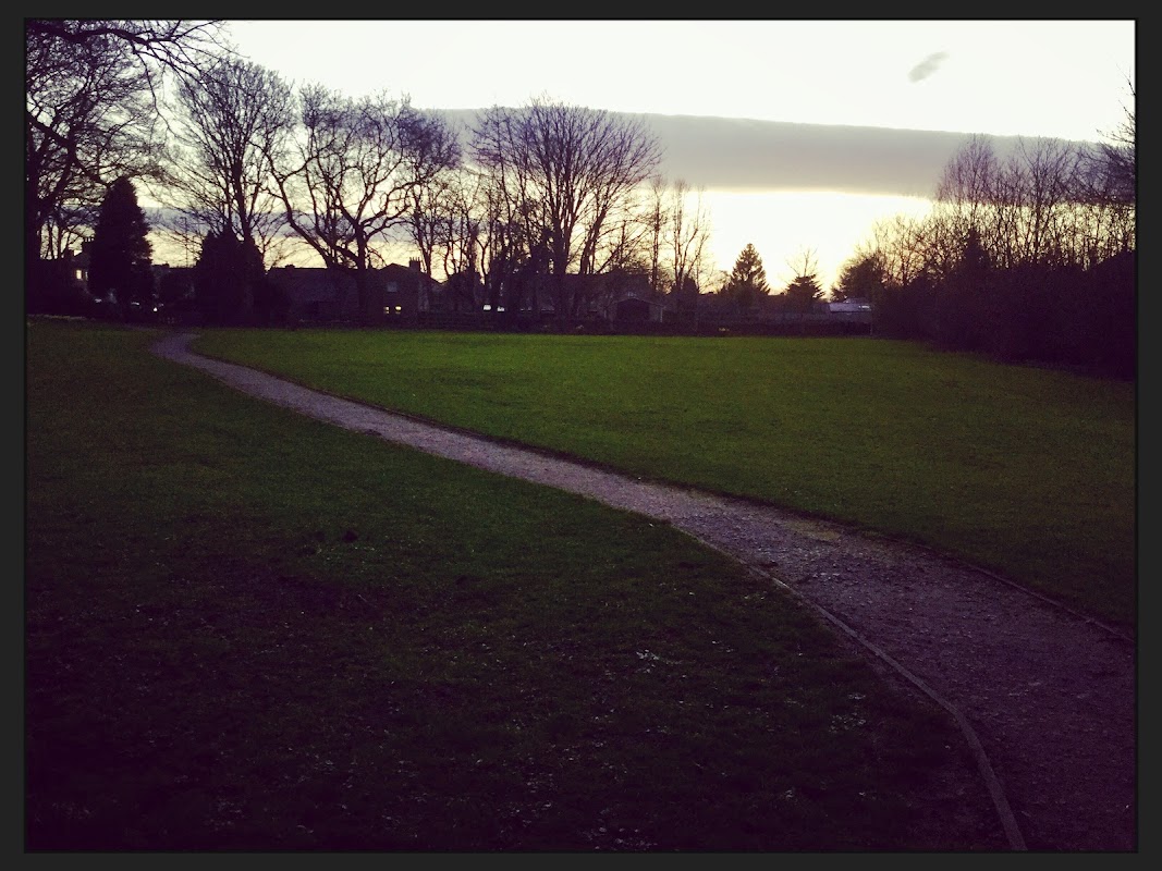 Collingham : Glebe Field