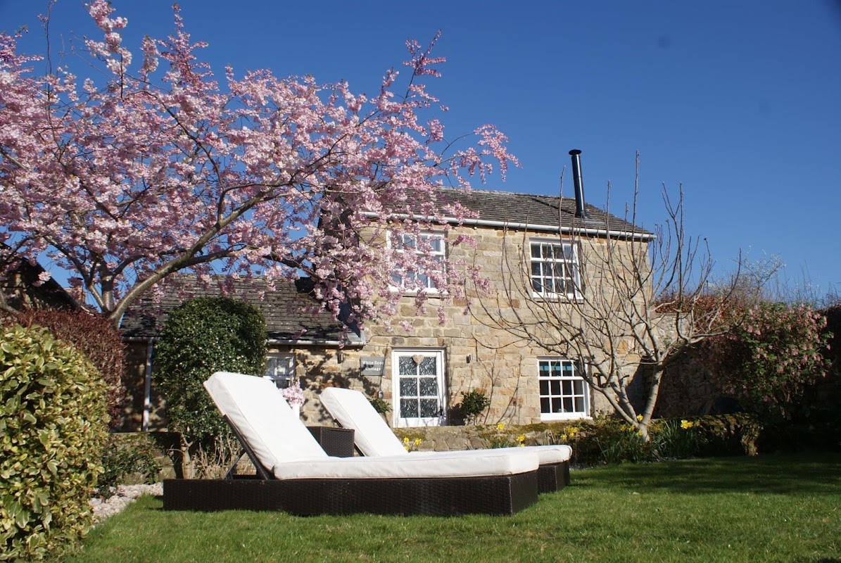 Charming stone cottage with blooming cherry trees and sun loungers in a lush garden, set against a clear blue sky.