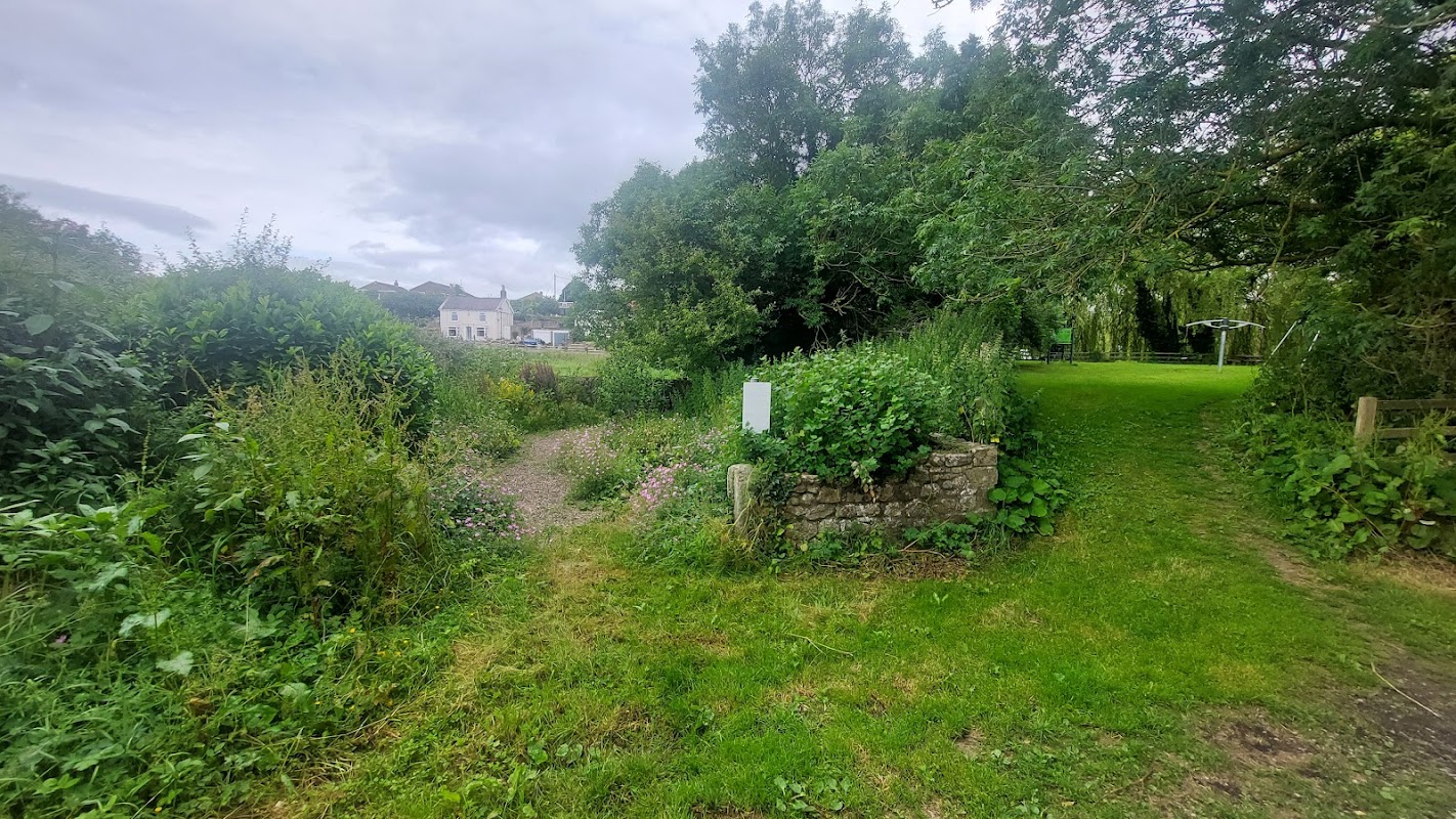 Overgrown path leading to a grassy area, with trees and a glimpse of buildings in the background.