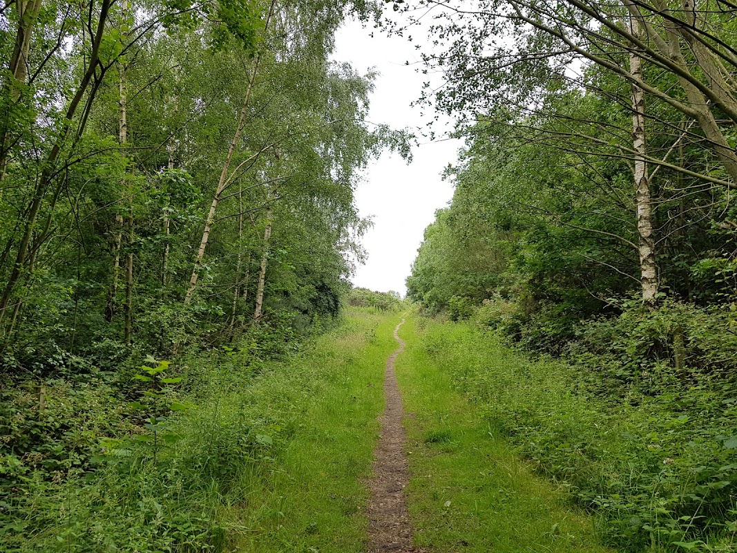 Tinsley Park Woods
