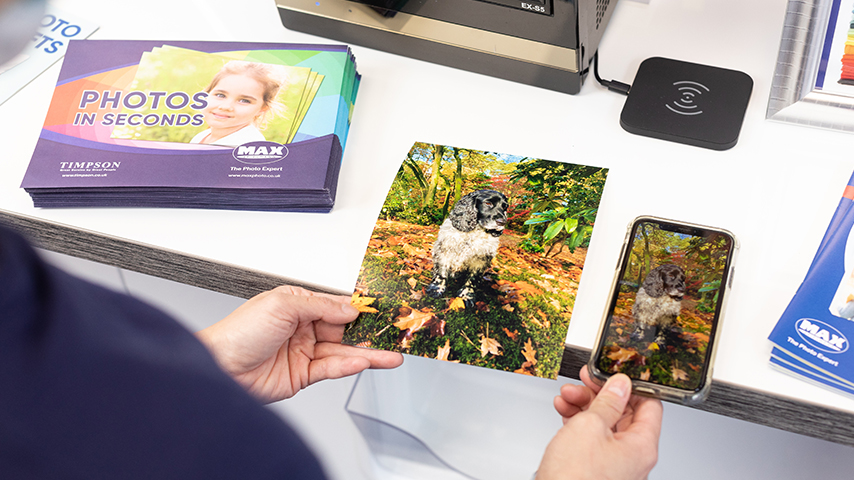 Max Spielmann