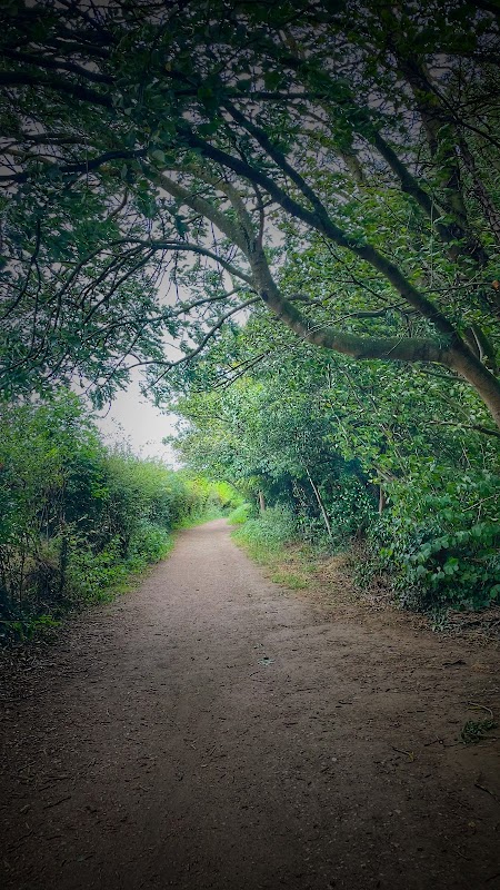 Newlands Park
