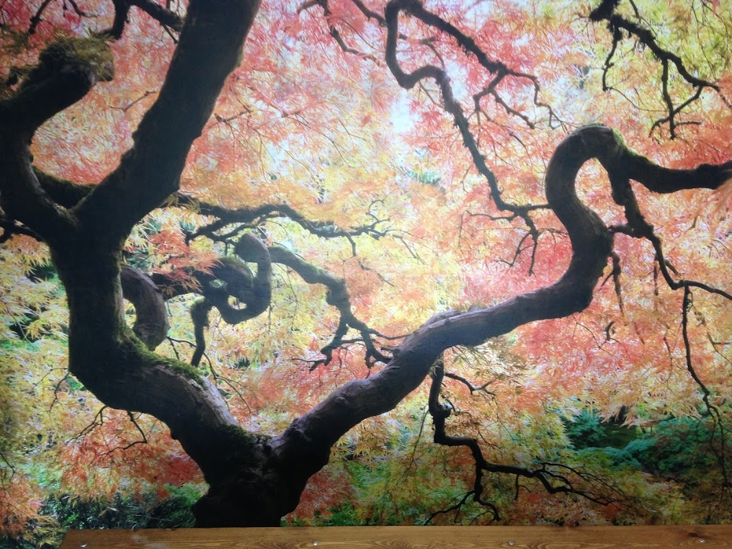 Nigel Cann Painting and Decorating