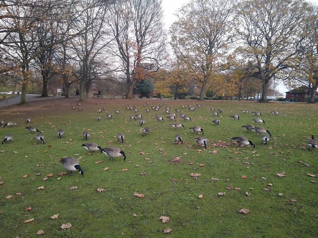 Sandall Park, Cafe Car Park