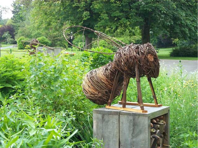 Dragon Willow