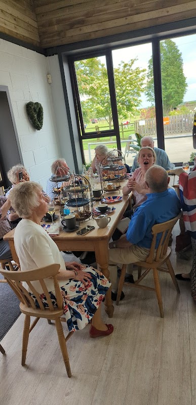 Group of people enjoying afternoon tea at a cafe with large windows, greenery visible outside.