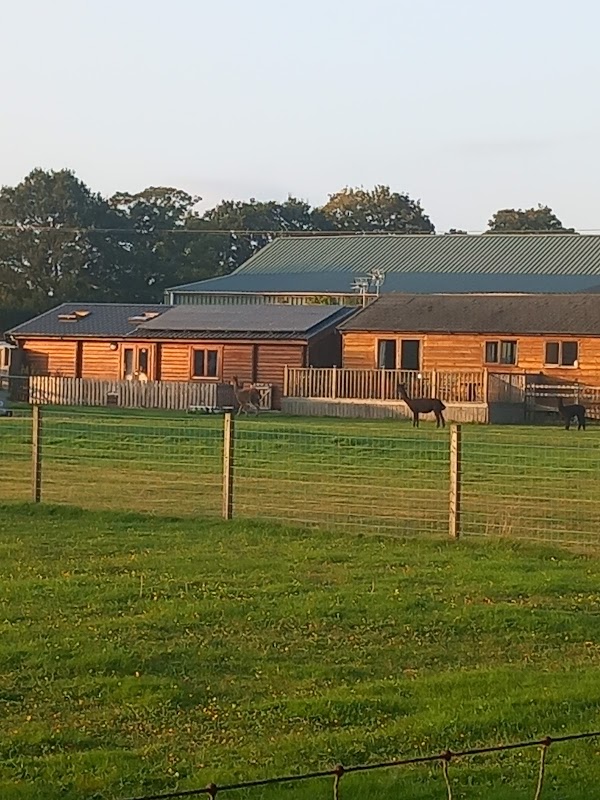 Egremont Pines
