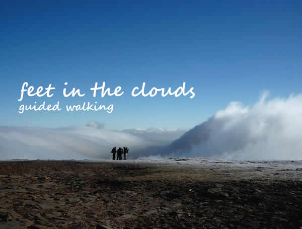 Feet in the Clouds
