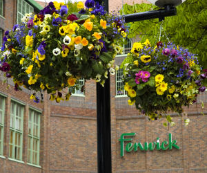 Fenwick's