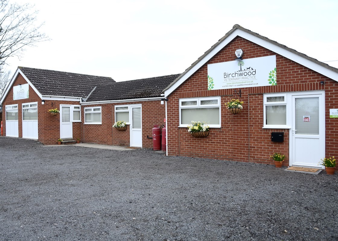 Birchwood Veterinary Practice building with brick exterior, white trim, flower pots, and a gravel parking area.