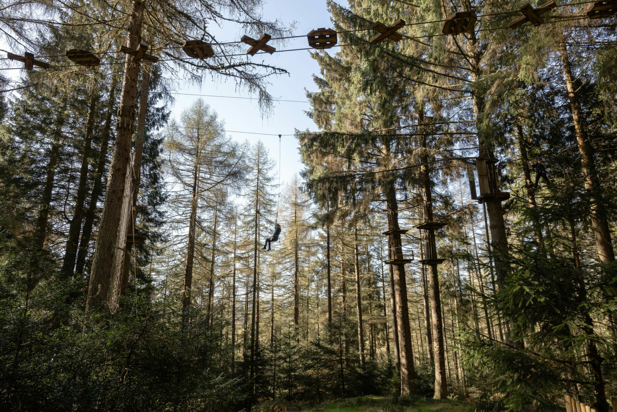 Go Ape Dalby