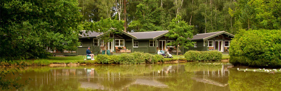 Great Wood Eco Lodges