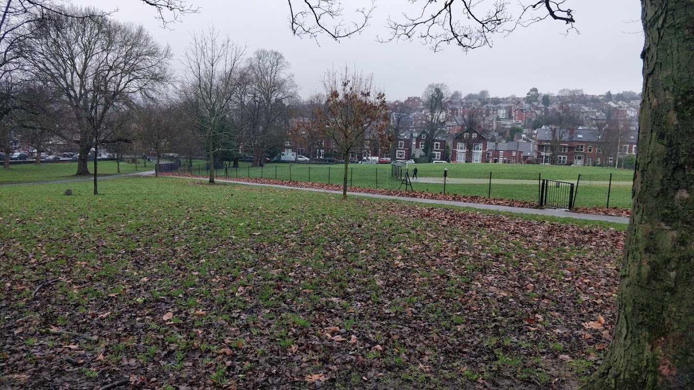 Meersbrook Park Car Park with bare trees, fallen leaves, and a view of residential buildings in the background.