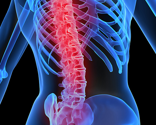The Physio Clinic