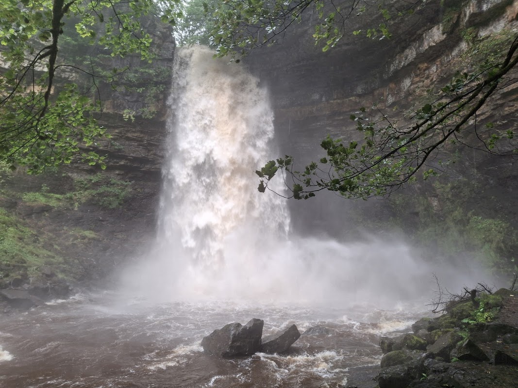 Hardraw Force