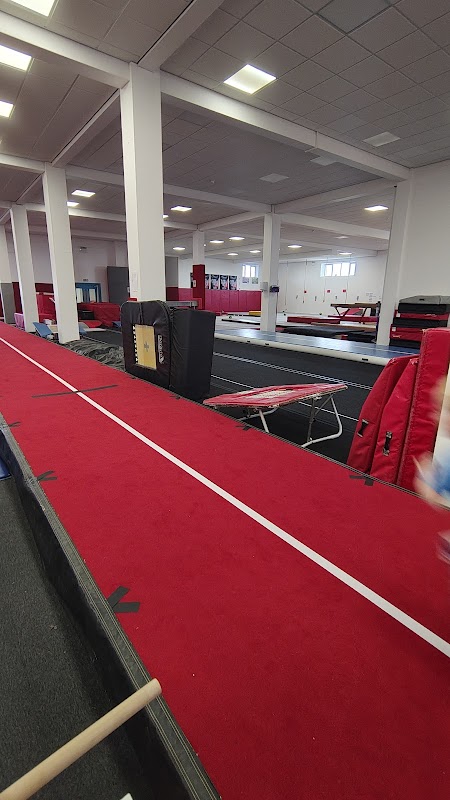 Harrogate Gymnastics (Club and Academy)
