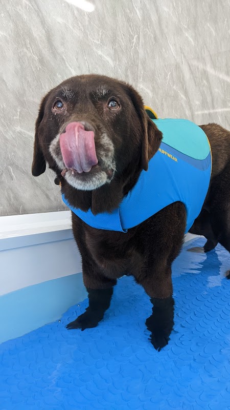 The Harrogate Vet Physio Hydrotherapy Centre - Vets in harrogate