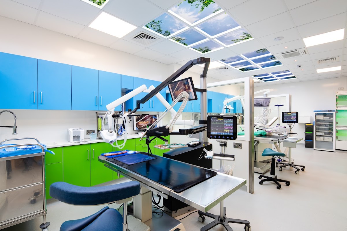 Vet Dentist