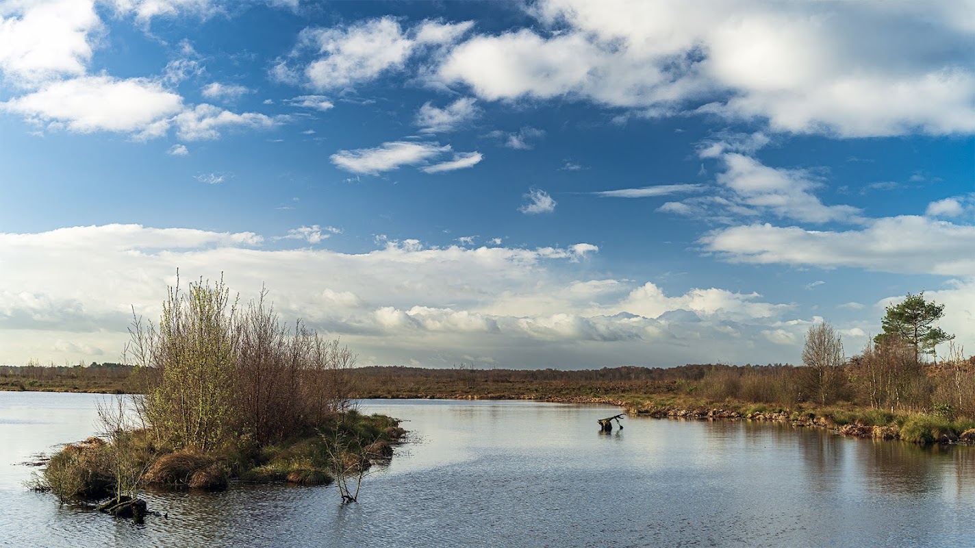 Serene landscape of Humberhead Peatlands with water, lush vegetation, and a cloudy blue sky.