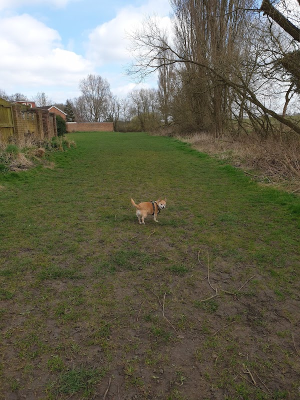 The Wier. Landing Lane.