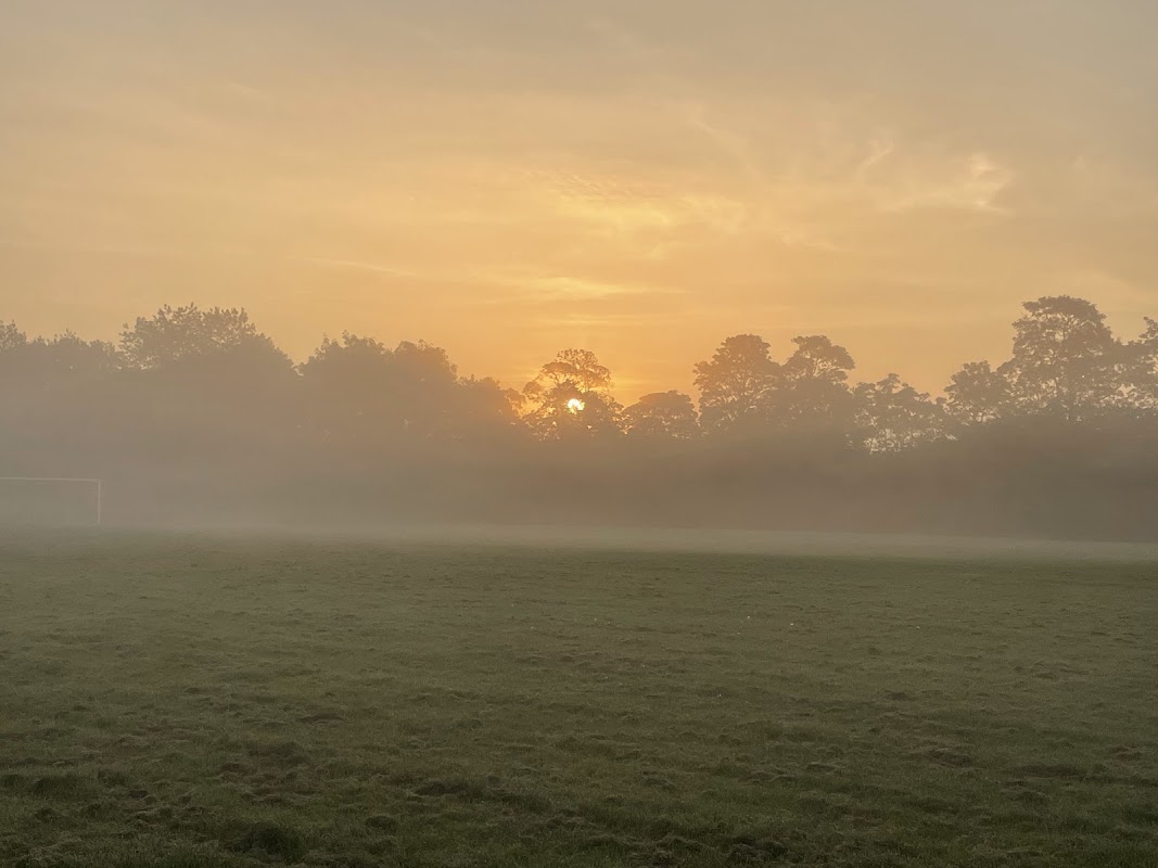Playing field