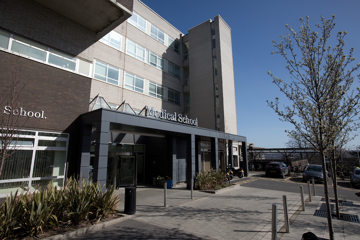Health Sciences Library, Royal Hallamshire Hospital, University of Sheffield