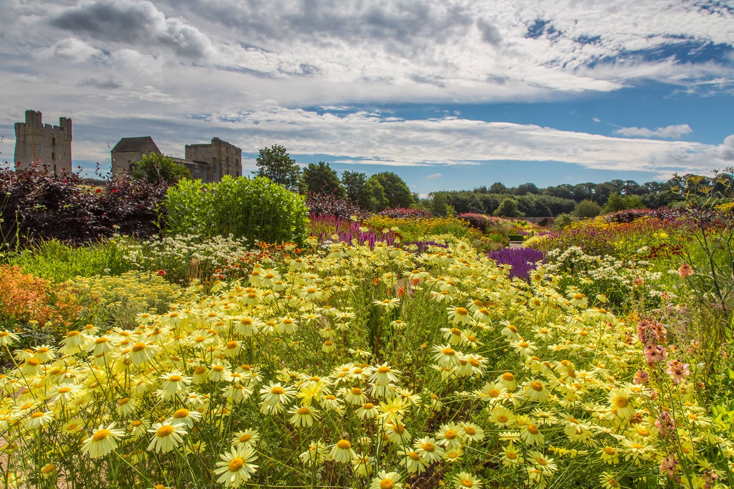 Helmsley Walled Garden|||