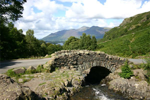 Herriot Country Tours