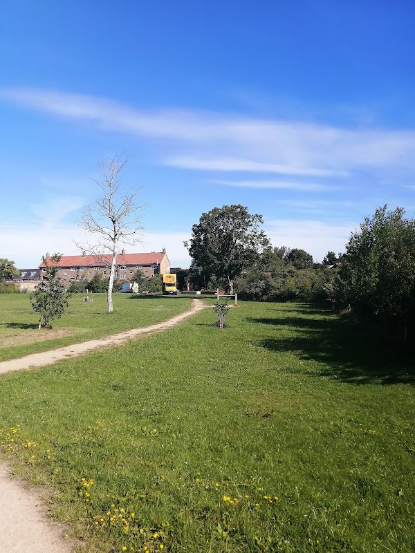 Dragon Park