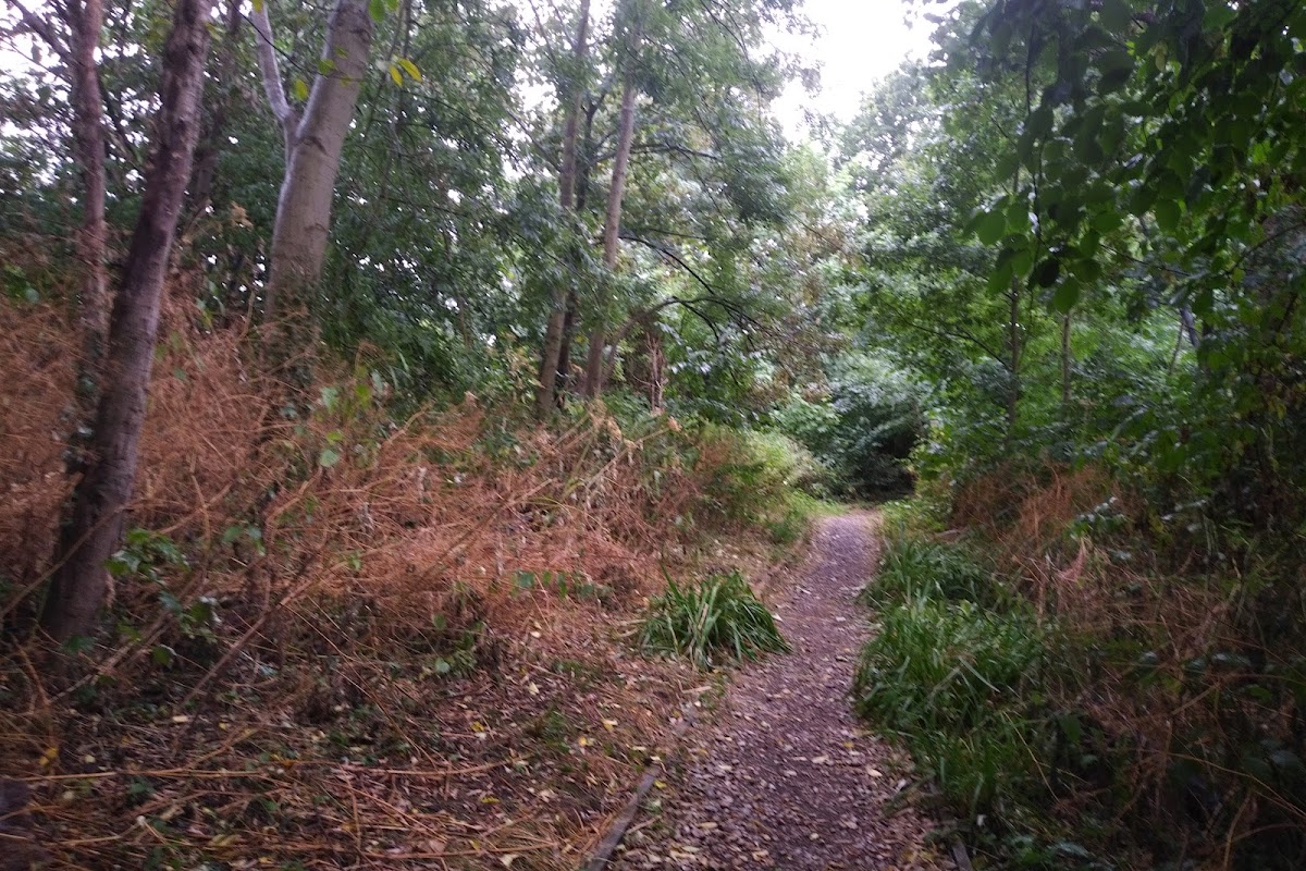 Heworth Holme