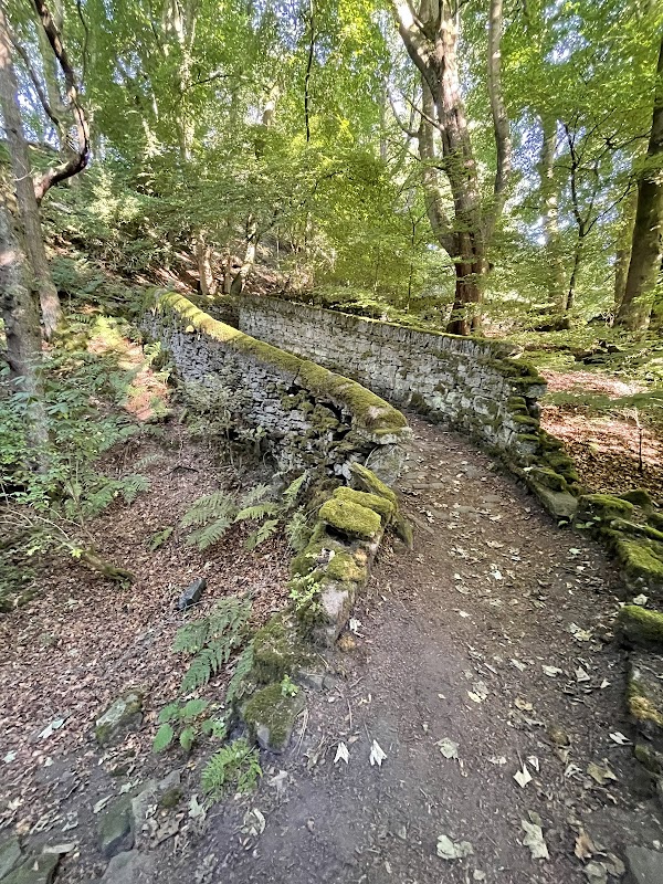 Jackson bridge