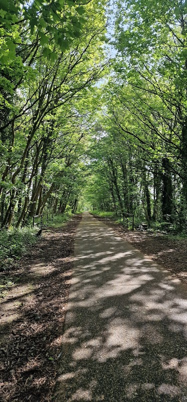 South Yorkshire Forest